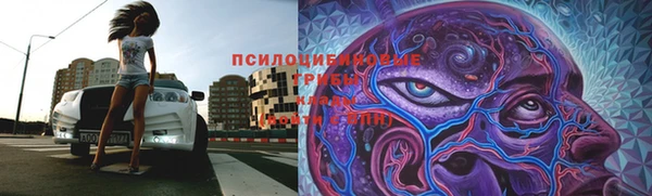 хмурый Нефтекумск