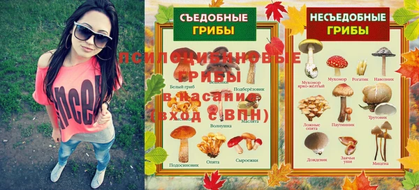 хмурый Нефтекумск