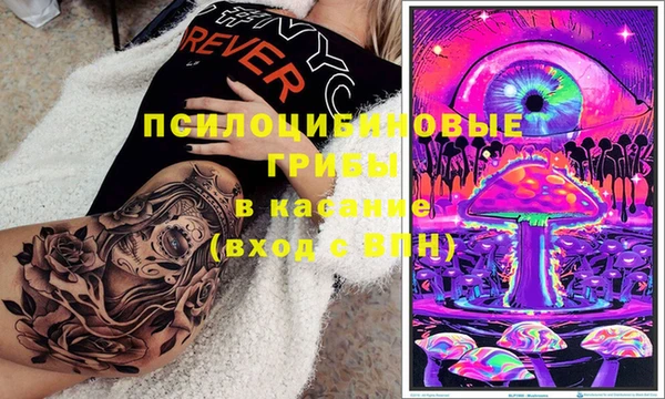 хмурый Нефтекумск