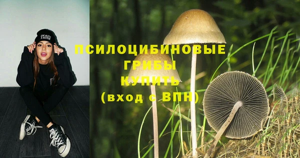 2c-b Нефтегорск