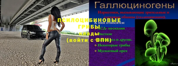 хмурый Нефтекумск