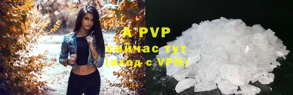хмурый Нефтекумск
